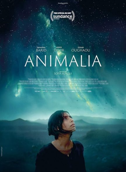 فیلم Animalia 2023 | حیوان